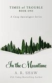 In the Meantime (Times of Trouble, #1) (eBook, ePUB)