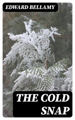 The Cold Snap (eBook, ePUB) - Bellamy, Edward