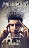 The Entropy of Bipolar Disorder: A Collection of Journal Entries Related to Mental Illness and Bipolar Disorder (Workings of a Bipolar Mind, #4) (eBook, ePUB)