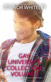 Gay University Collection Volume 2: 5 Sweet Gay University Romance Short Stories (The English Gay Sweet Contemporary Romance Stories) (eBook, ePUB)