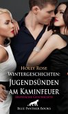 Wintergeschichten: Jugendsünden am Kaminfeuer   Erotische Geschichte (eBook, PDF)