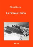 La Piccola Torino (eBook, PDF)
