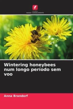 Wintering honeybees num longo período sem voo - Brandorf, Anna