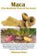 Maca (The Medicinal Plant of the Inkas) - Bild 1