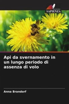 Api da svernamento in un lungo periodo di assenza di volo - Brandorf, Anna