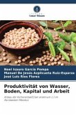 Produktivität von Wasser, Boden, Kapital und Arbeit