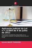 Aplicação judicial da Lei n.º 11/009 de 9 de Julho de 2011