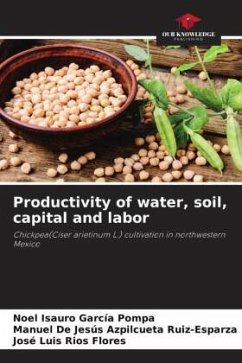 Cover Productivity of water, soil, capital and labor
