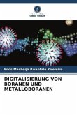 DIGITALISIERUNG VON BORANEN UND METALLOBORANEN