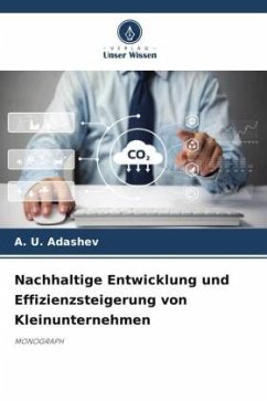 Nachhaltige Entwicklung und Effizienzsteigerung von Kleinunternehmen - Adashev, A. U.