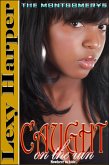 Caught on the Run (The Montgomerys, #2) (eBook, ePUB) Caught on the Run (The Montgomerys, #2) (eBook, ePUB)