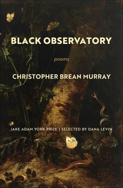 Cover Black Observatory (eBook, ePUB)