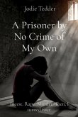 A Prisoner by No Crime of My Own (eBook, ePUB)