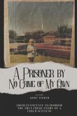 A Prisoner by No Crime of My Own: From Innocence to Horror (eBook, ePUB)