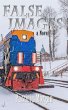 False Images (eBook, ePUB) - Bild 1