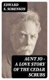 Aunt Jo - A Love Story of the Cedar Scrubs (eBook, ePUB)