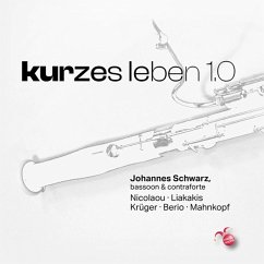 Kurzes Leben 1.0 - Schwarz,Johannes