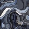 Vitreous Body - Bild 1
