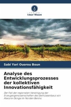 Analyse des Entwicklungsprozesses der kollektiven Innovationsfähigkeit - Ouorou Boun, Sabi Yari