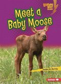 Meet a Baby Moose