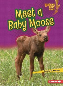 Meet a Baby Moose - Murray, Tamika M