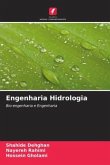 Engenharia Hidrologia