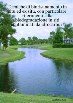 Tecniche di biorisanamento in situ ed ex situ, con particolare riferimento alla biodegradazione in siti contaminati da idrocarburi - Sofo, Adriano