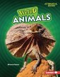 Weird Animals - Bild 1