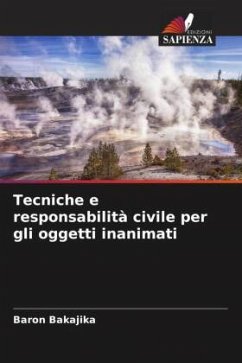 Tecniche e responsabilità civile per gli oggetti inanimati - Bakajika, Baron