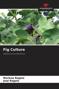 Fig Culture - Regato, Mariana;Regato, José