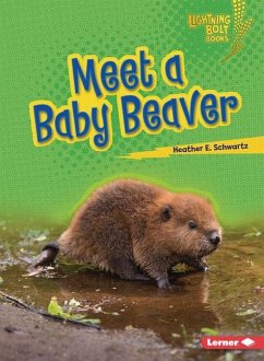 Meet a Baby Beaver - Schwartz, Heather E