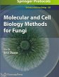 Molecular and Cell Biology Methods for... - Bild 1