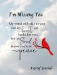 I'M Missing You / A Grief Journal - Bild 1
