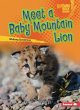 Meet a Baby Mountain Lion - Bild 1