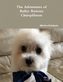 The Adventures of Bailey Buttons