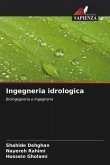 Ingegneria idrologica Ingegneria idrologica