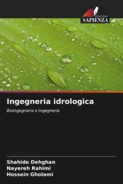 Ingegneria idrologica - Dehghan, Shahide;Rahimi, Nayereh;Gholami, Hossein Ingegneria idrologica - Dehghan, Shahide;Rahimi, Nayereh;Gholami, Hossein