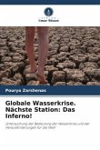 Globale Wasserkrise. Nächste Station: Das Inferno!