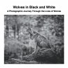 Wolves in Black and White - Bild 1
