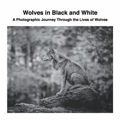 Wolves in Black and White - Sechovicz, David