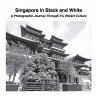 Singapore in Black and White - Bild 1