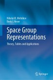 Space Group Representations (eBook, PDF)