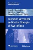 Formation Mechanism and Control Strategies of Haze in China (eBook, PDF)