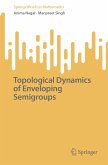 Topological Dynamics of Enveloping Semigroups (eBook, PDF)