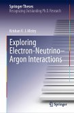 Exploring Electron–Neutrino–Argon Interactions (eBook, PDF)
