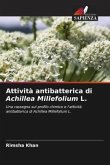 Attività antibatterica di Achillea Millefolium L.