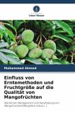 Einfluss von Erntemethoden und Fruchtgröße auf die Qualität von Mangofrüchten