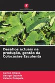 Desafios actuais na produção, gestão da Colocasiae Esculenta