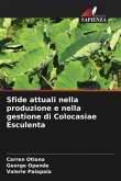 Sfide attuali nella produzione e nella gestione di Colocasiae Esculenta