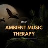 SLEEP: Ambient Music Therapy... - Bild 1